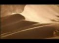 NATURE | The Desert Lions | Preview | PBS
